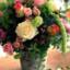 basia084